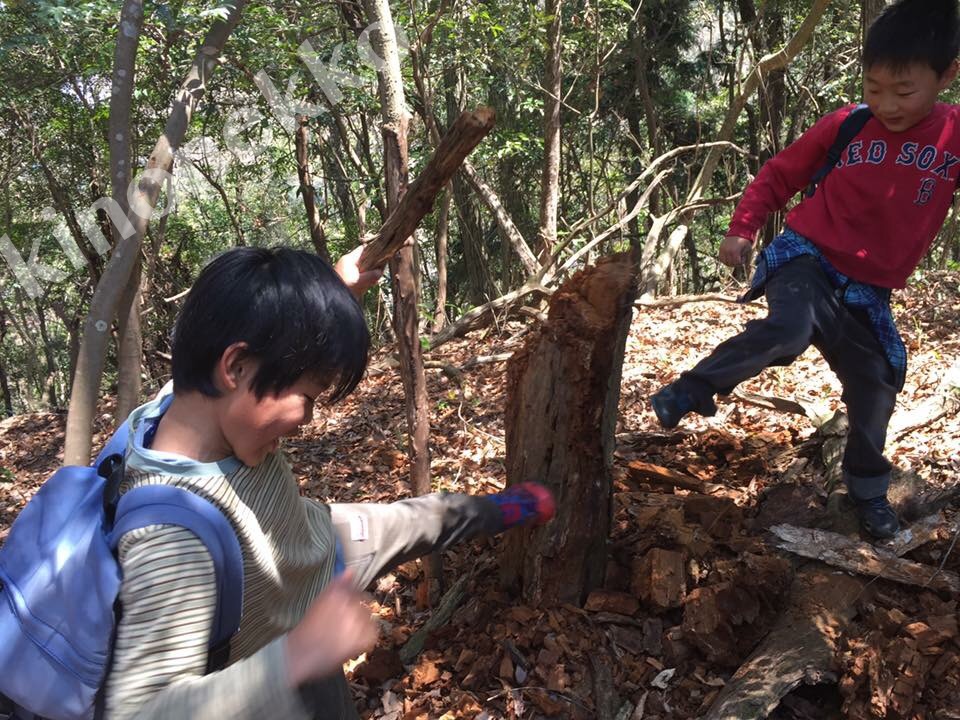 春の茶臼山へ アリ 朽ちた木 ターザン 広島のフリースクール木のねっこ